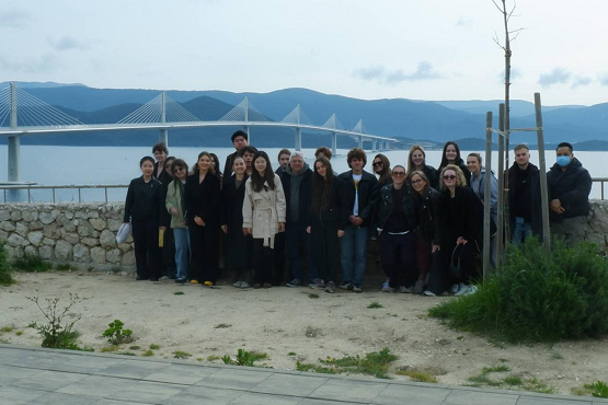 220811066183.png 2.png